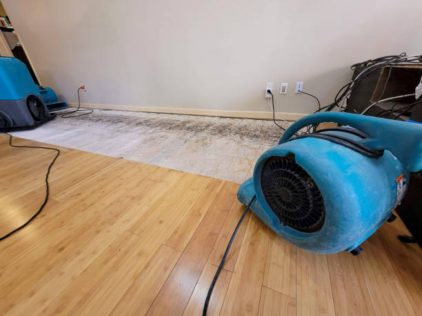Professional Structural Drying technician working in Fall River, MA